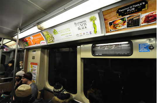 Ad for the Chicago Flower & Garden Show in a CTA train