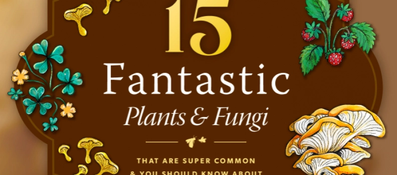 15 Fantastic Plants & Fungi
