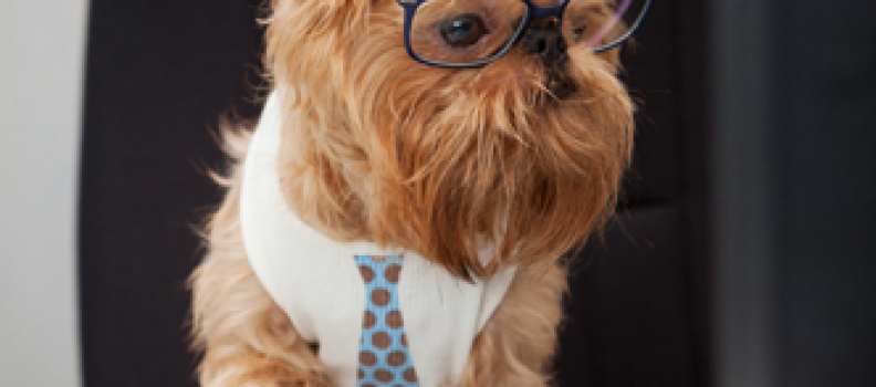 7 Ways to Fake Being a Good Writer