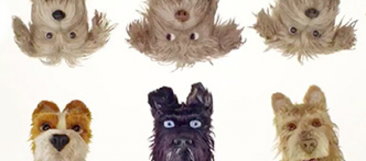 Isle of dogs treats recall sale